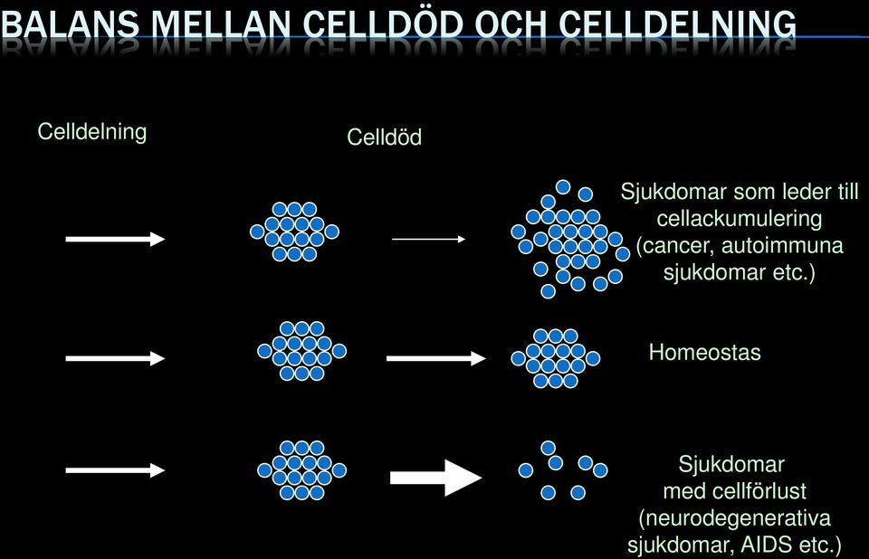 (cancer, autoimmuna sjukdomar etc.
