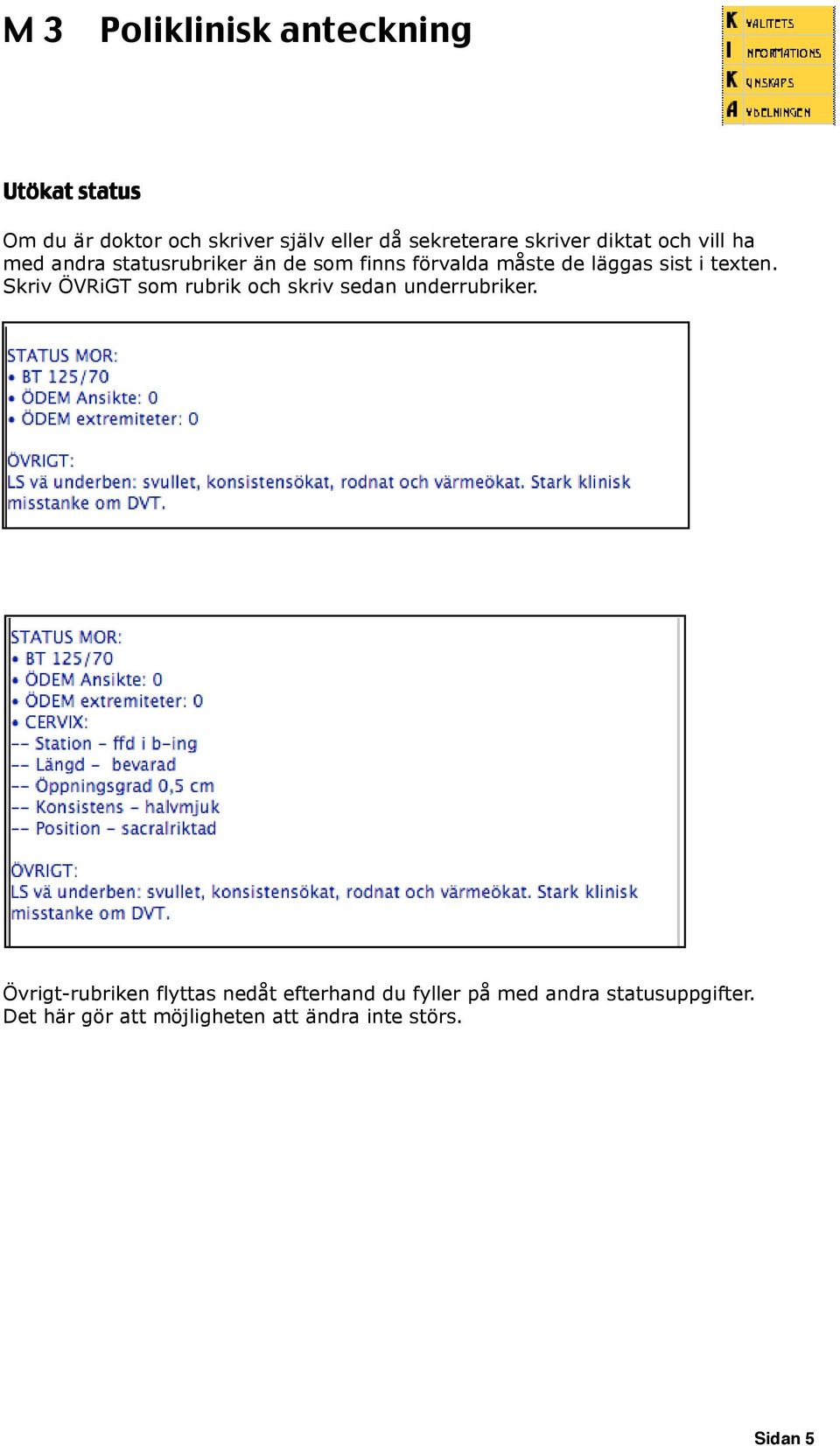 Skriv ÖVRiGT som rubrik och skriv sedan underrubriker.