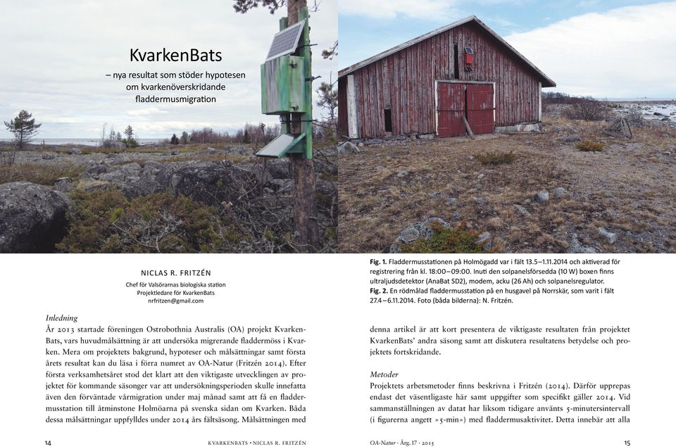 com År 13 startade föreningen Ostrobothnia Australis (OA) projekt Kvarken- Bats, vars huvudmålsättning är att undersöka migrerande fladdermöss i Kvarken.