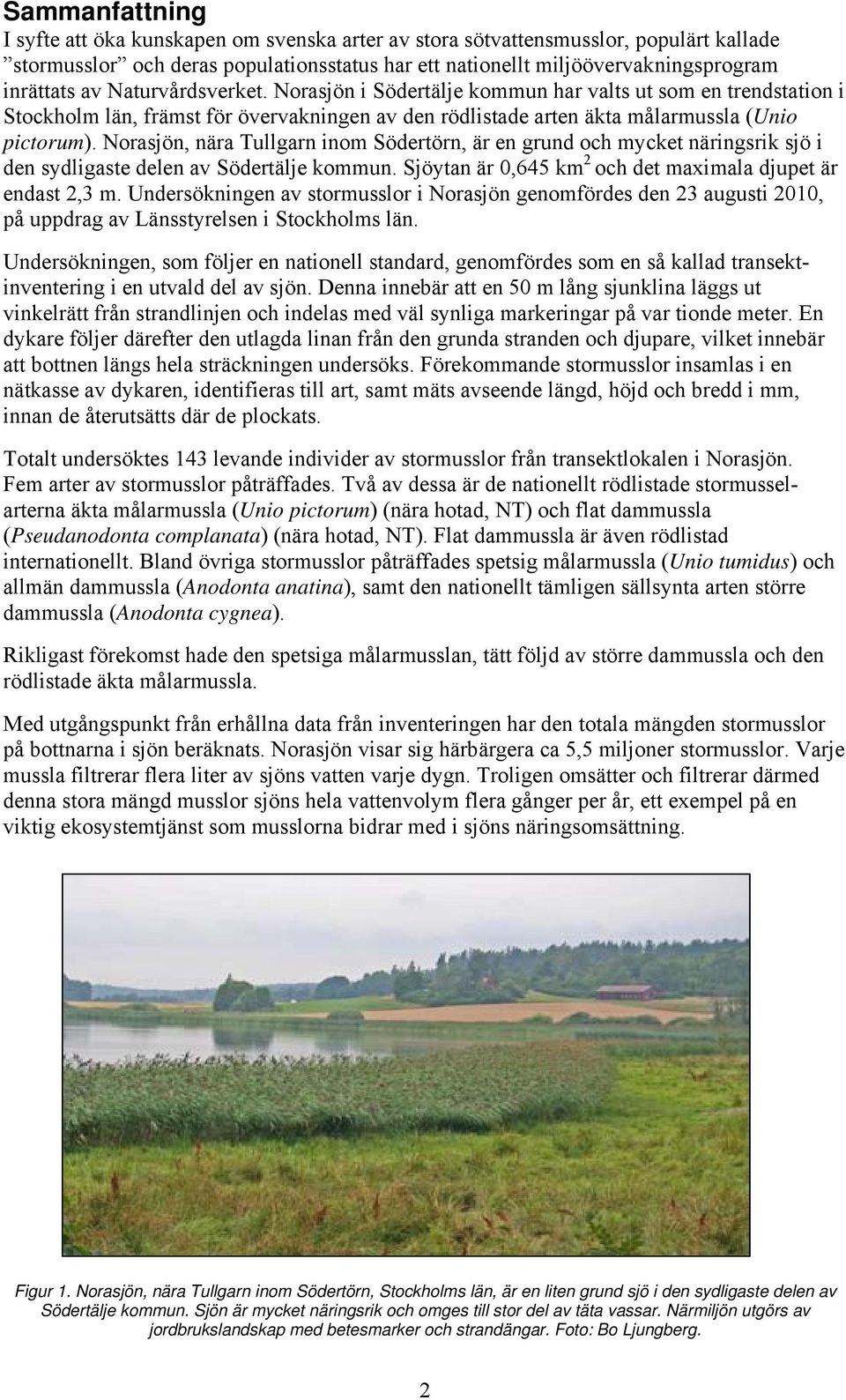 Norasjön, nära Tullgarn inom Södertörn, är en grund och mycket näringsrik sjö i den sydligaste delen av Södertälje kommun. Sjöytan är 0,645 km 2 och det maximala djupet är endast 2,3 m.