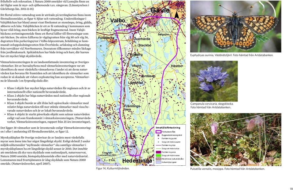 Undersökningar i Valsjöbäcken har bland annat visat förekomst av stensimpa, öring, gädda, abborre och lake.