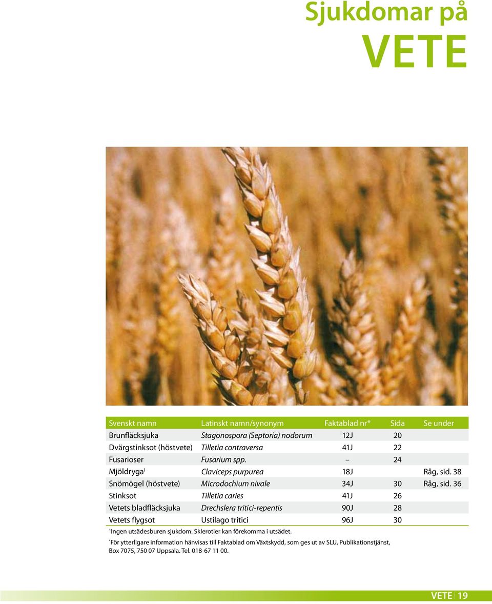 36 Stinksot Tilletia caries 41J 26 Vetets bladfläcksjuka Drechslera tritici-repentis 90J 28 Vetets flygsot Ustilago tritici 96J 30 1 Ingen utsädesburen sjukdom.
