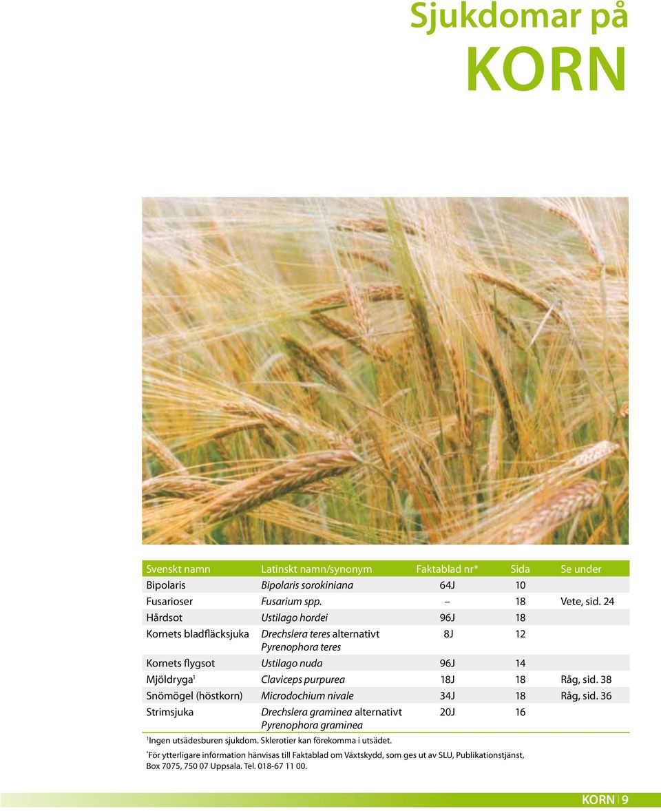 18J 18 Råg, sid. 38 Snömögel (höstkorn) Microdochium nivale 34J 18 Råg, sid. 36 Strimsjuka Drechslera graminea alternativt Pyrenophora graminea 1 Ingen utsädesburen sjukdom.