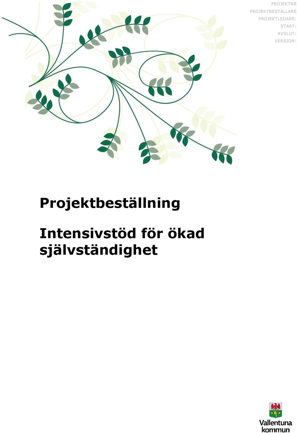 VERSION: Projektbeställning