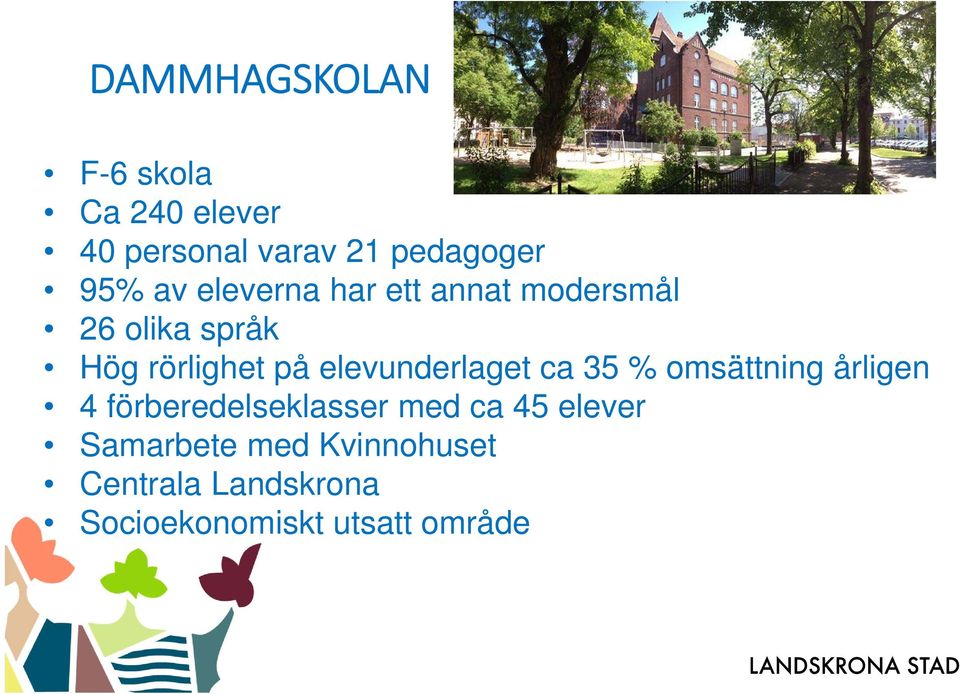 elevunderlaget ca 35 % omsättning årligen 4 förberedelseklasser med ca 45