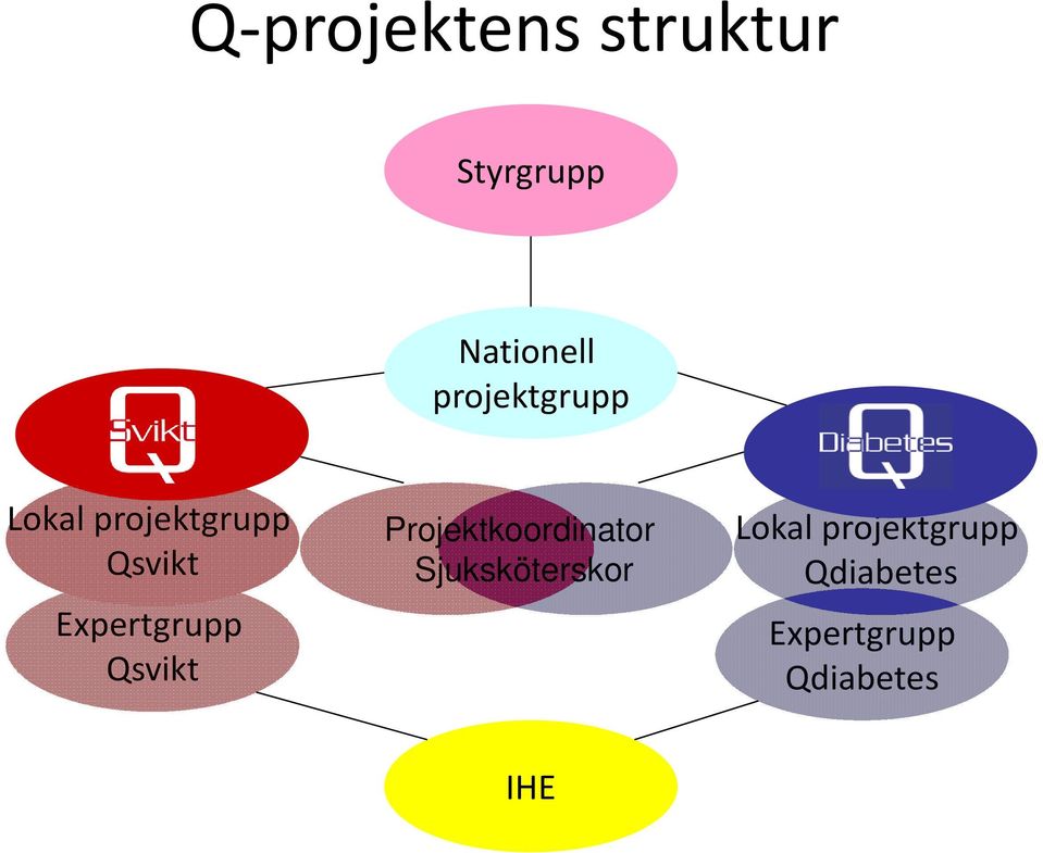 Expertgrupp Qsvikt Projektkoordinator