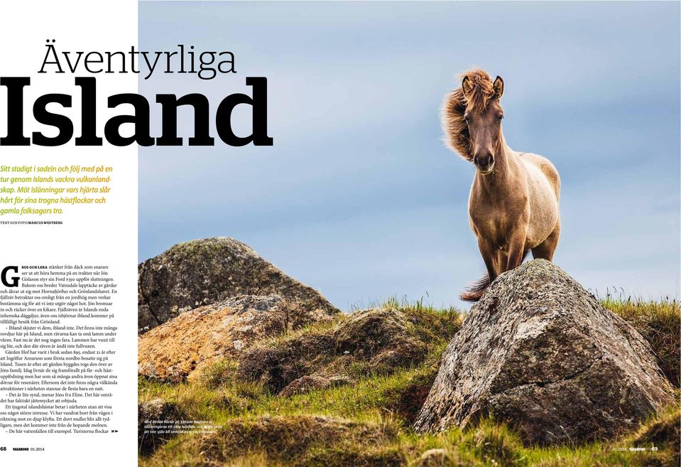 Bakom oss breder Vatnsdals lapptäcke av gårdar och åkrar ut sig mot Hornafjörður och Grönlandshavet.