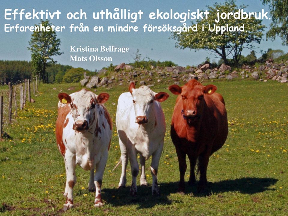Erfarenheter från en mindre
