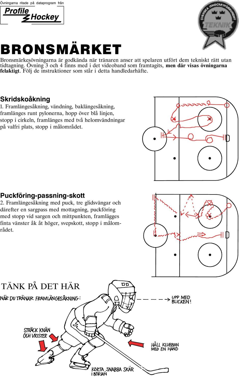 Framlängesåkning, vändning, baklängesåkning, framlänges runt pylonerna, hopp över blå linjen, stopp i cirkeln, framlänges med två helomvändningar på valfri plats, stopp i målområdet.