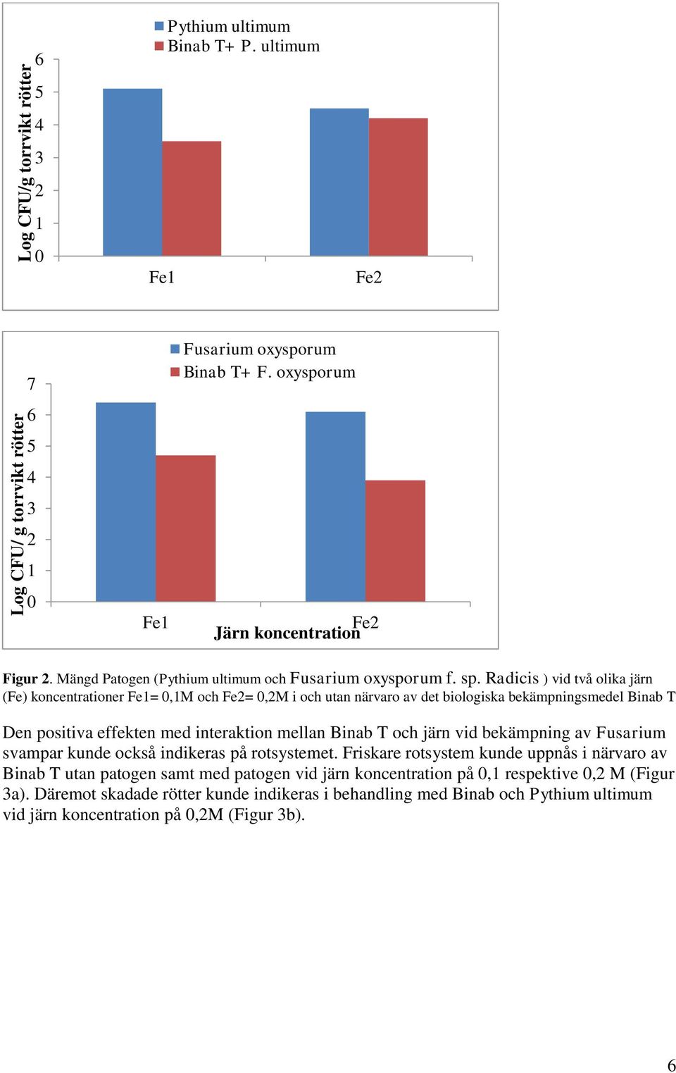 Radicis ) vid två olika järn (Fe) koncentrationer Fe1=,1M och Fe2=,2M i och utan närvaro av det biologiska bekämpningsmedel Binab T Den positiva effekten med interaktion mellan Binab T och järn vid