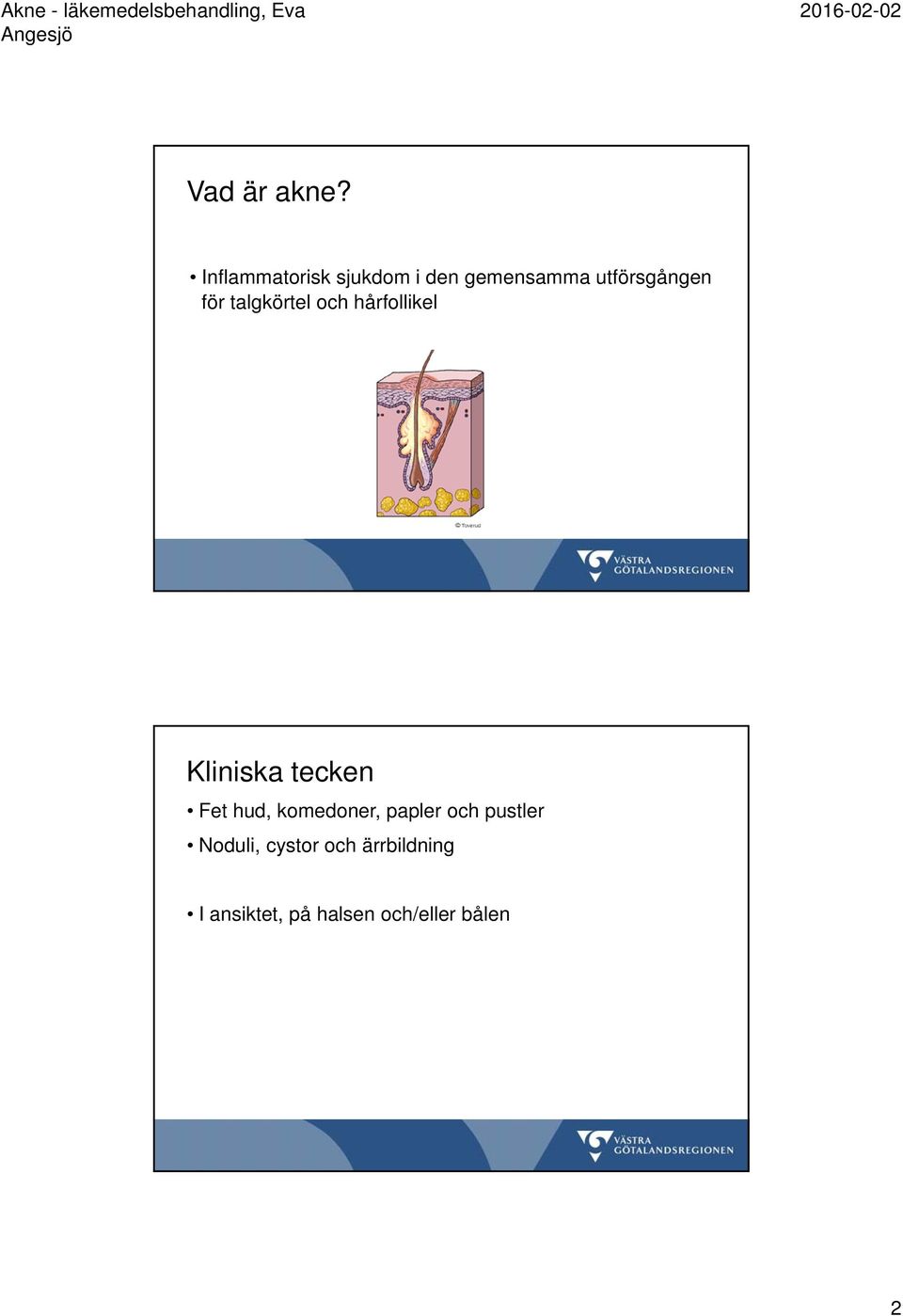 för talgkörtel och hårfollikel Kliniska tecken Fet hud,