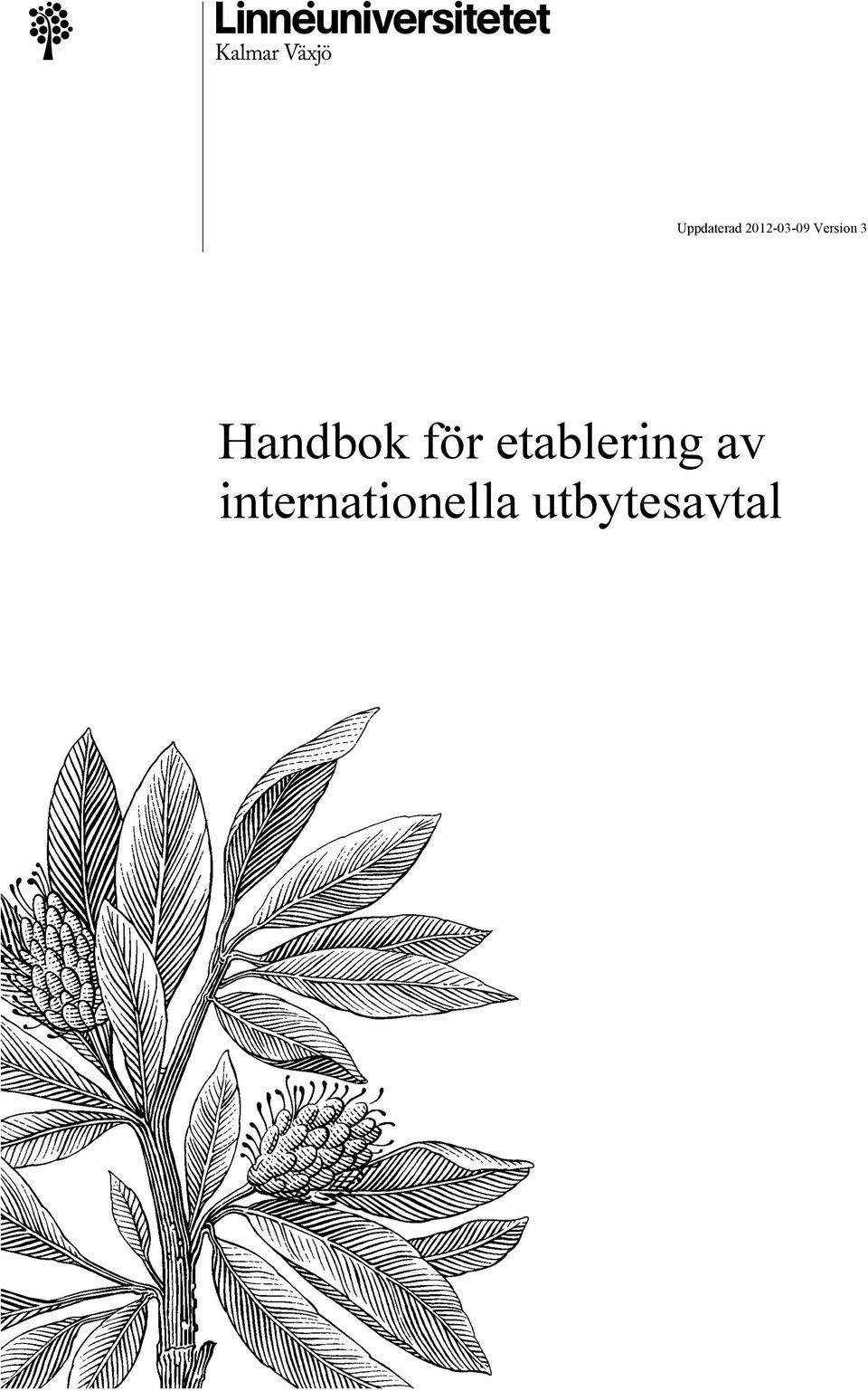 etablering av