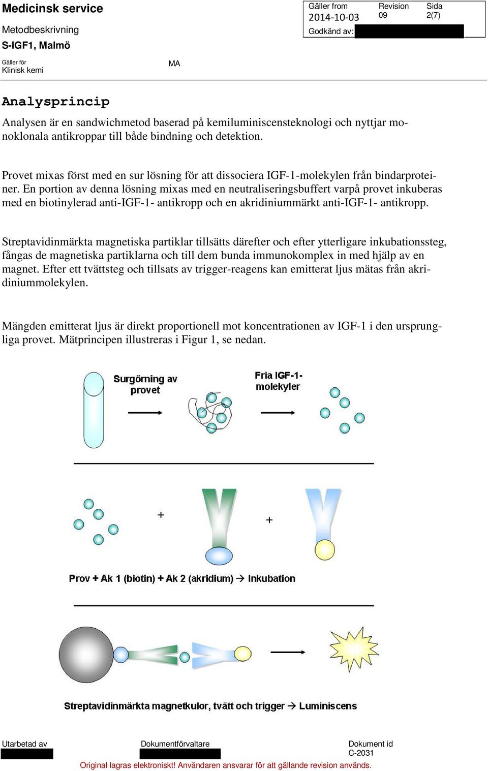 En portion av denna lösning mixas med en neutraliseringsbuffert varpå provet inkuberas med en biotinylerad anti-igf-1- antikropp och en akridiniummärkt anti-igf-1- antikropp.