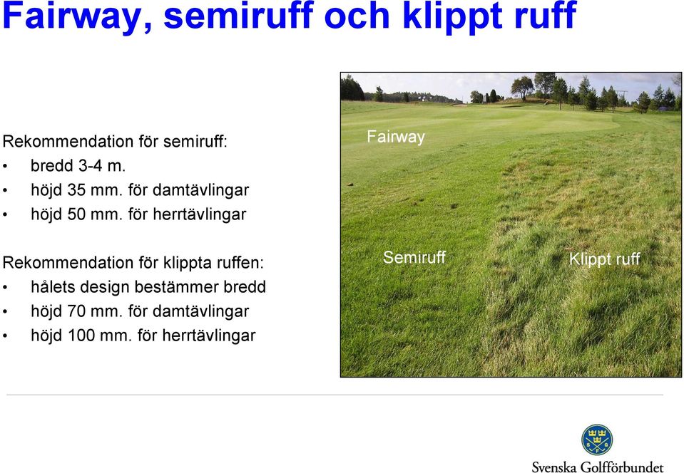 för herrtävlingar Fairway Rekommendation för klippta ruffen: hålets