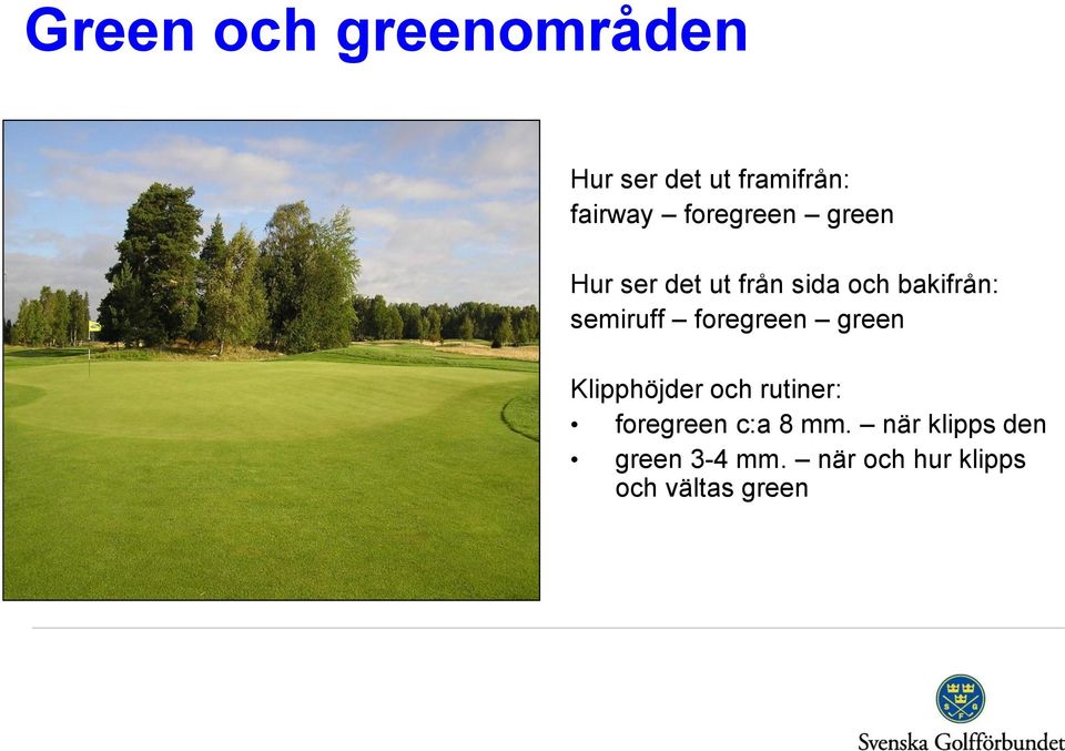 semiruff foregreen green Klipphöjder och rutiner: foregreen