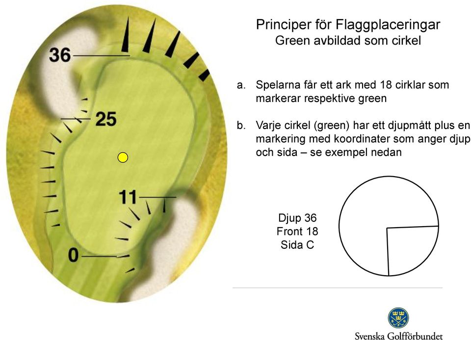 b. Varje cirkel (green) har ett djupmått plus en markering med