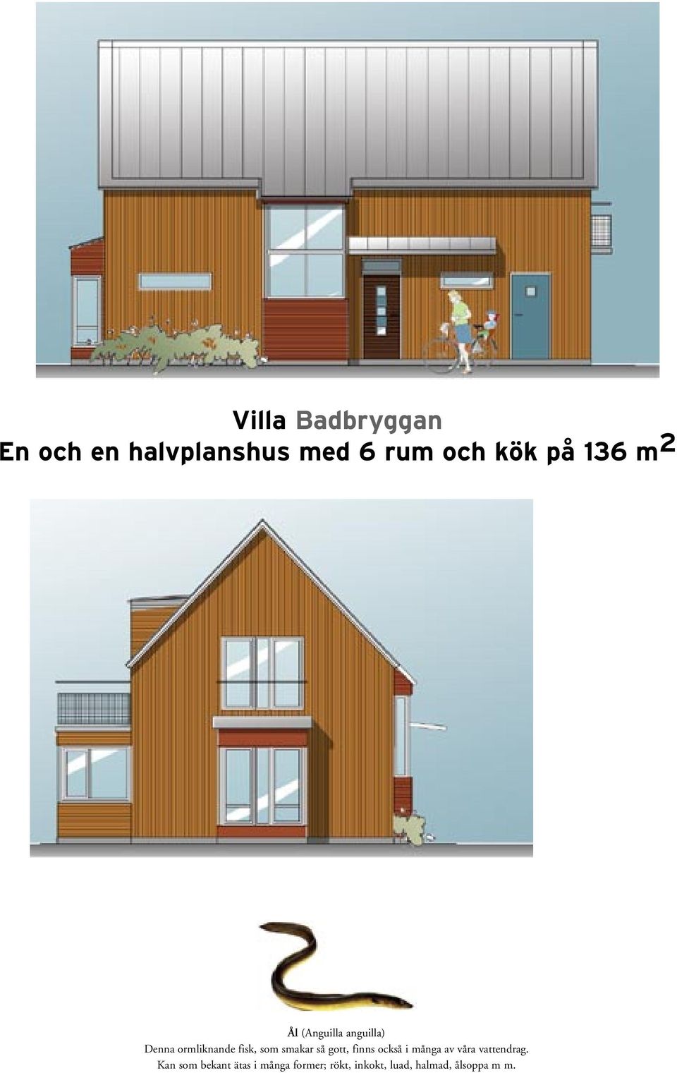 smakar så gott, finns också i många av våra vattendrag.