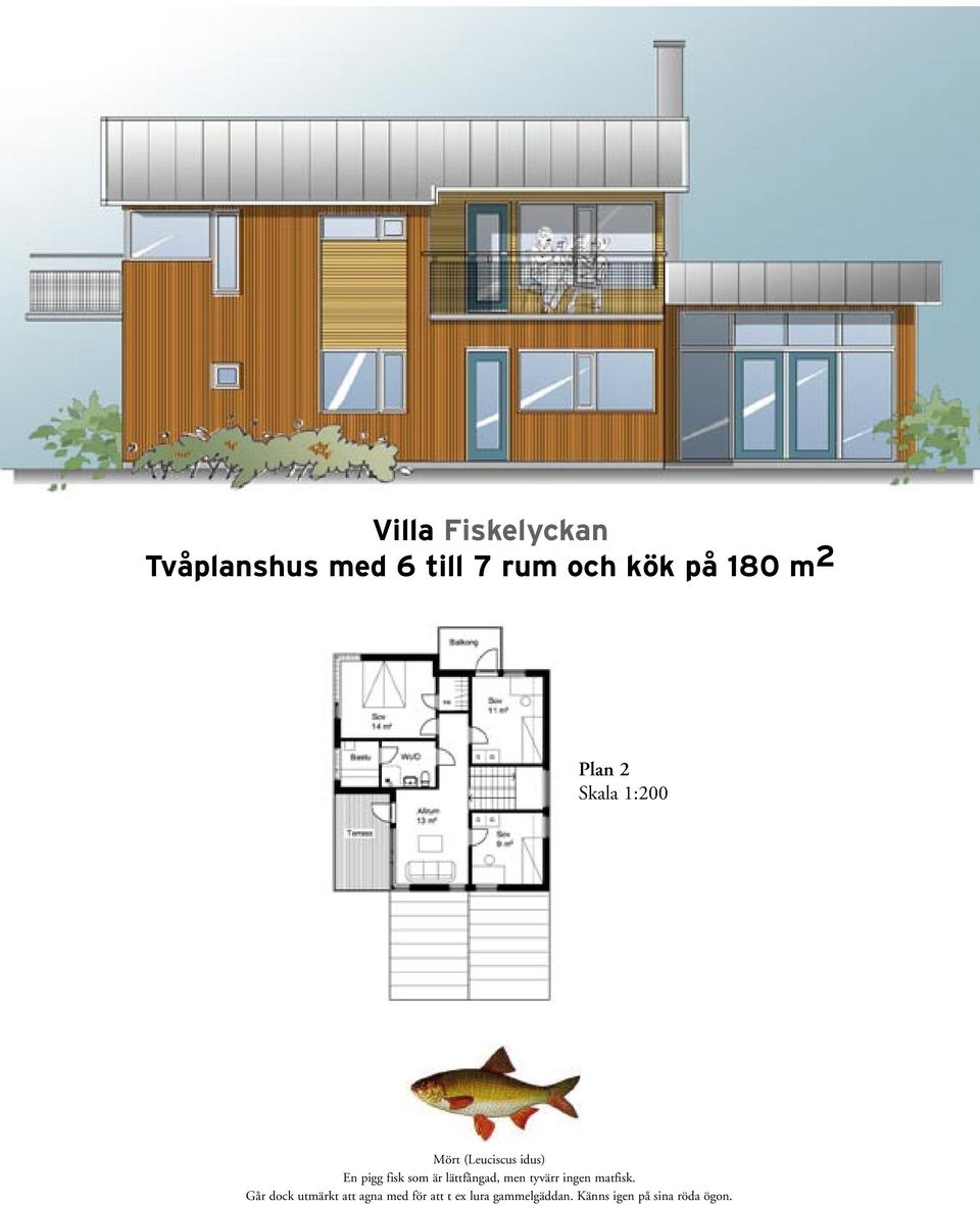 lättfångad, men tyvärr ingen matfisk.