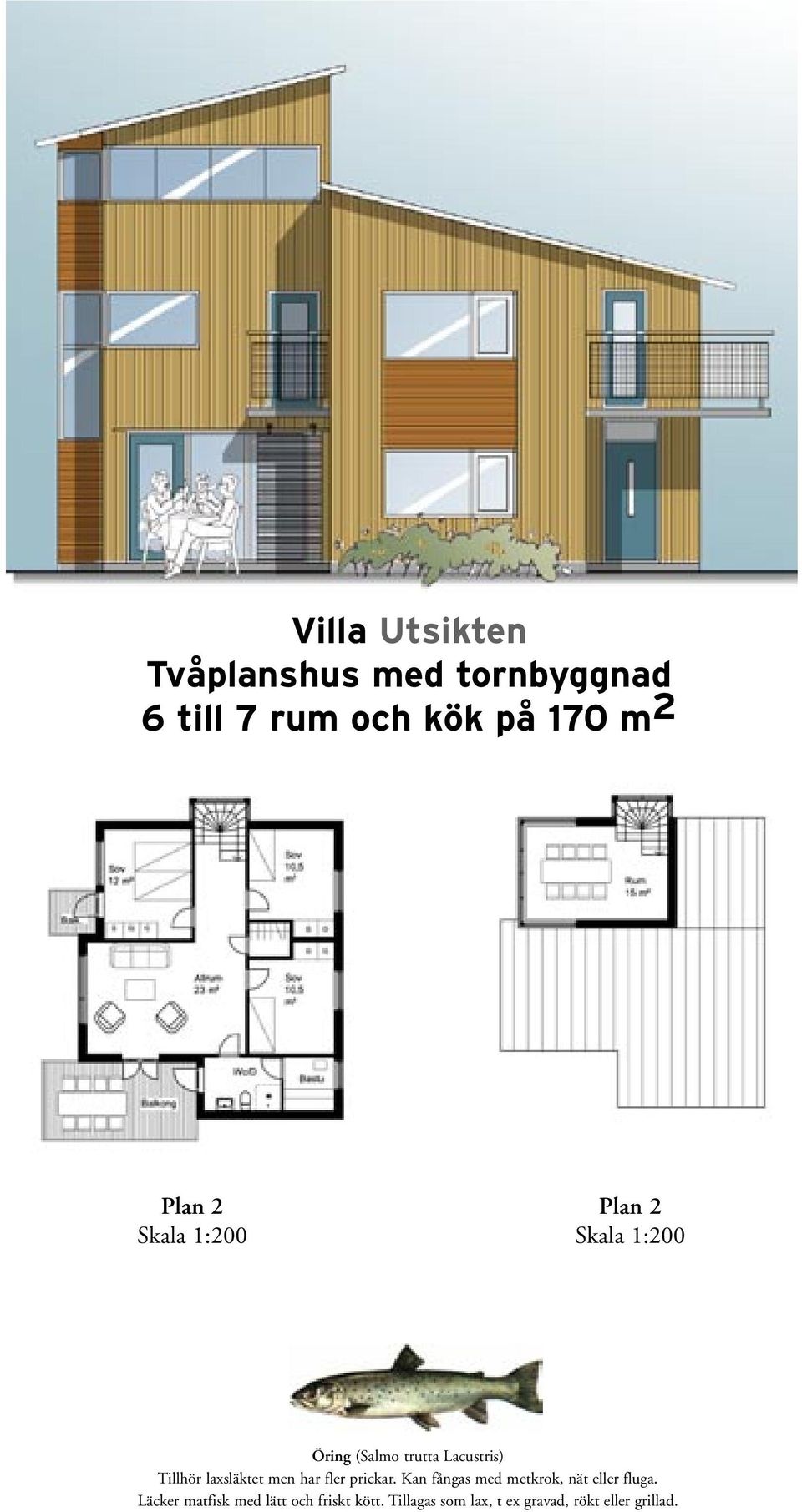 laxsläktet men har fler prickar. Kan fångas med metkrok, nät eller fluga.