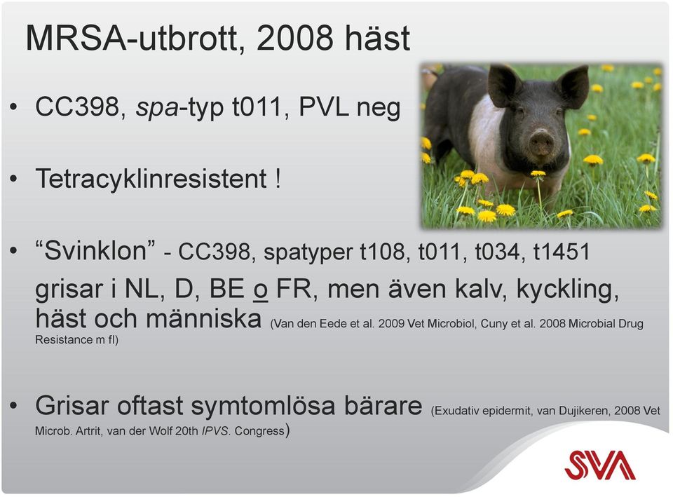 häst och människa (Van den Eede et al. 2009 Vet Microbiol, Cuny et al.