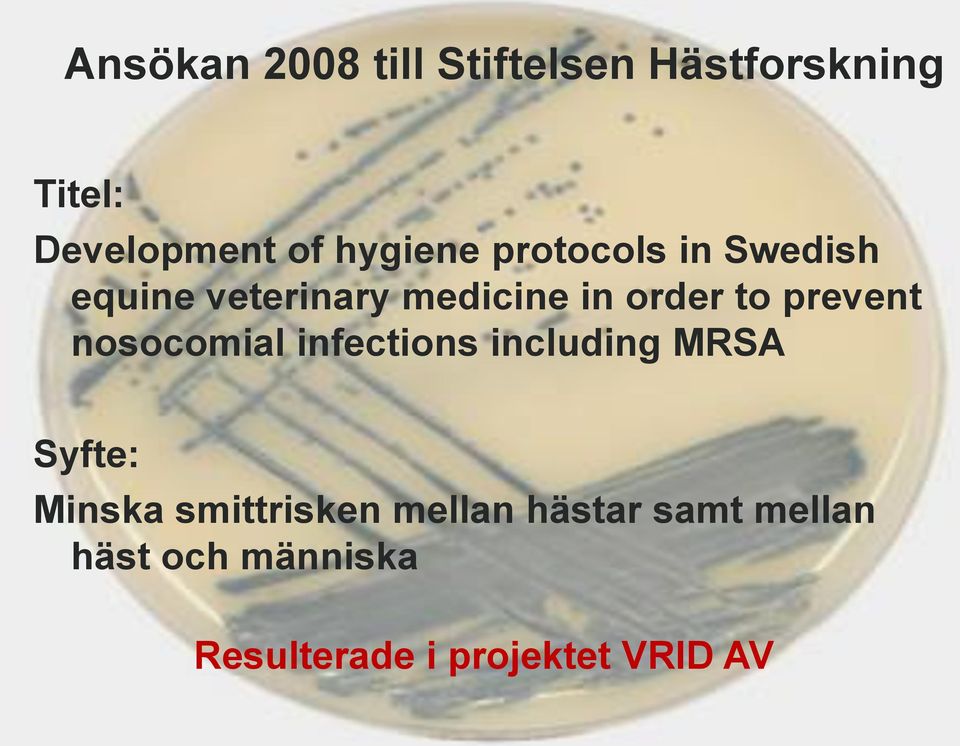 prevent nosocomial infections including MRSA Syfte: Minska