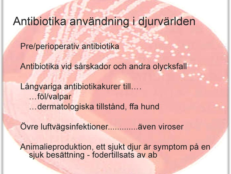 föl/valpar dermatologiska tillstånd, ffa hund Övre luftvägsinfektioner.