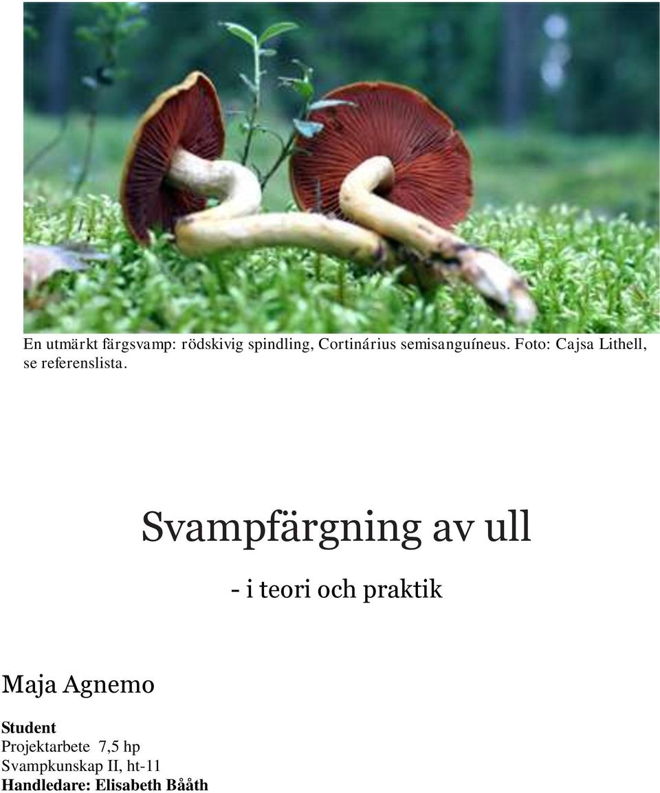 Svampfärgning av ull - i teori och praktik Maja Agnemo