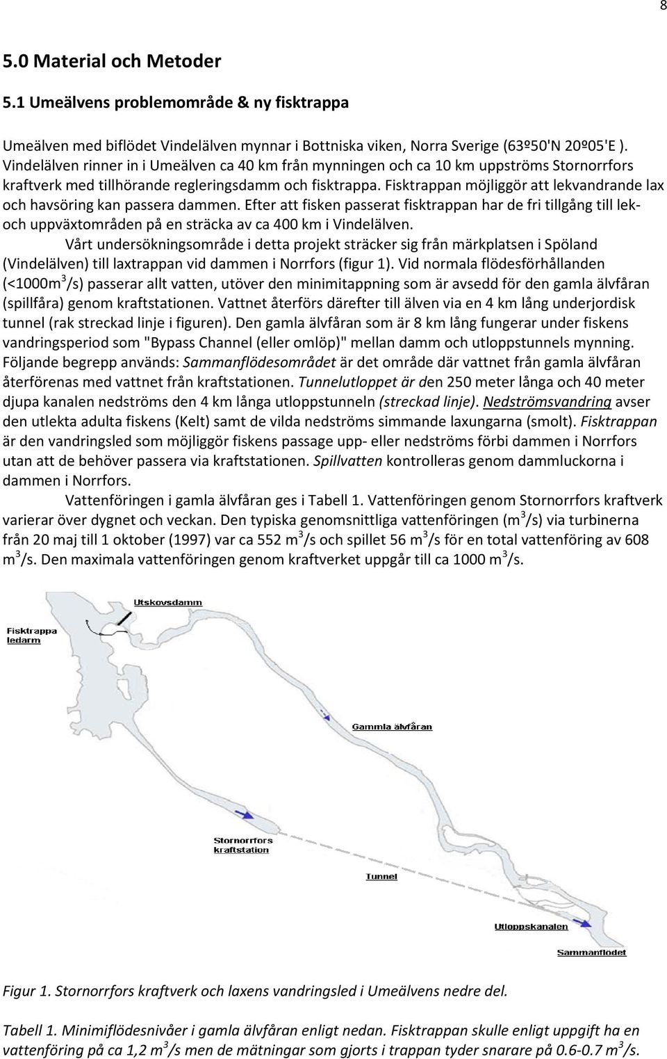 Fisktrappan möjliggör att lekvandrande lax och havsöring kan passera dammen.