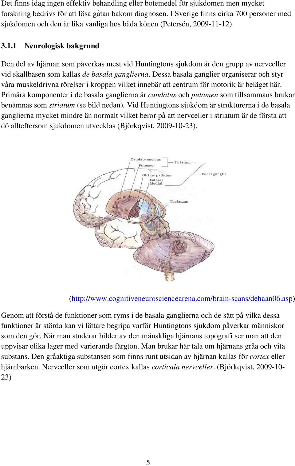 -12). 3.1.1 Neurologisk bakgrund Den del av hjärnan som påverkas mest vid Huntingtons sjukdom är den grupp av nervceller vid skallbasen som kallas de basala ganglierna.