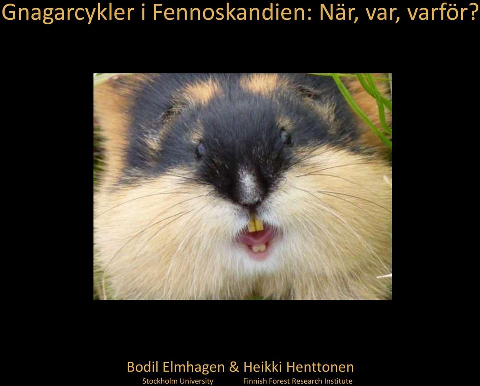 Bodil Elmhagen & Heikki Henttonen