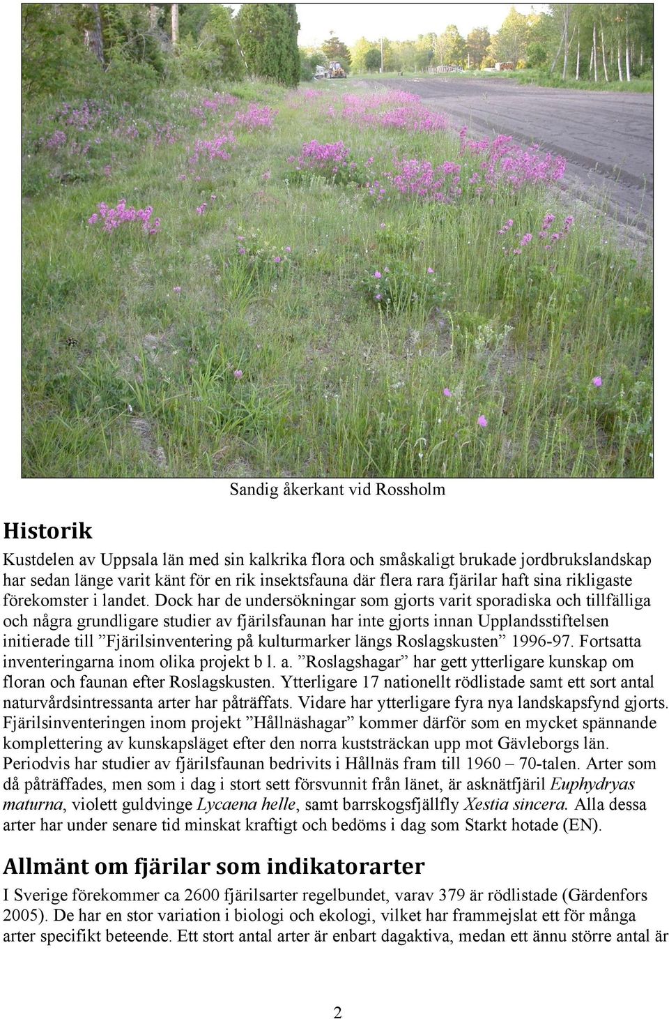 Dock har de undersökningar som gjorts varit sporadiska och tillfälliga och några grundligare studier av fjärilsfaunan har inte gjorts innan Upplandsstiftelsen initierade till Fjärilsinventering på