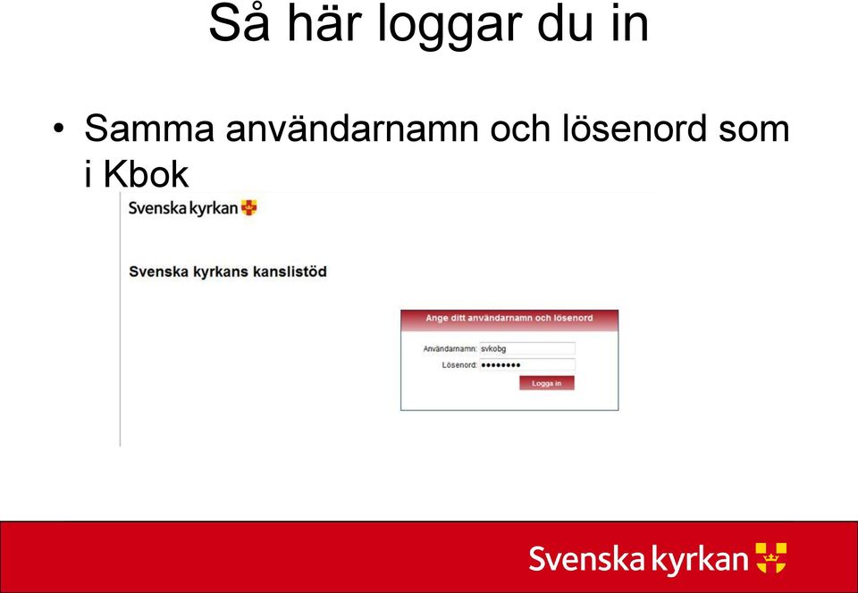 användarnamn