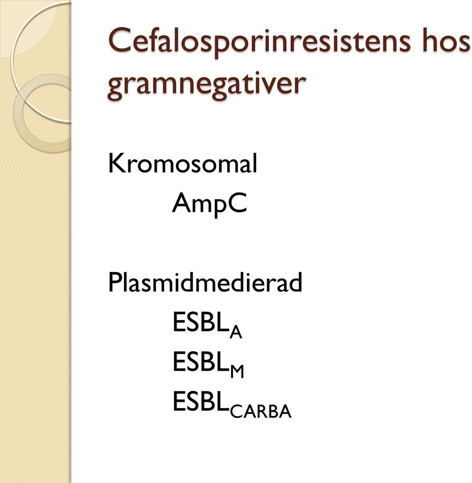 Kromosomal AmpC