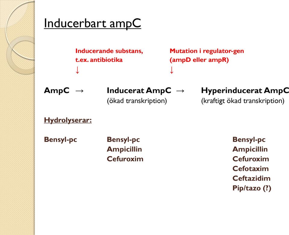 Hyperinducerat AmpC (ökad transkription) (kraftigt ökad transkription)