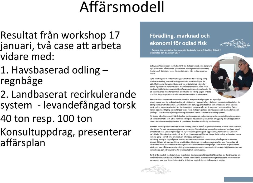 Landbaserat recirkulerande system - levandefångad torsk