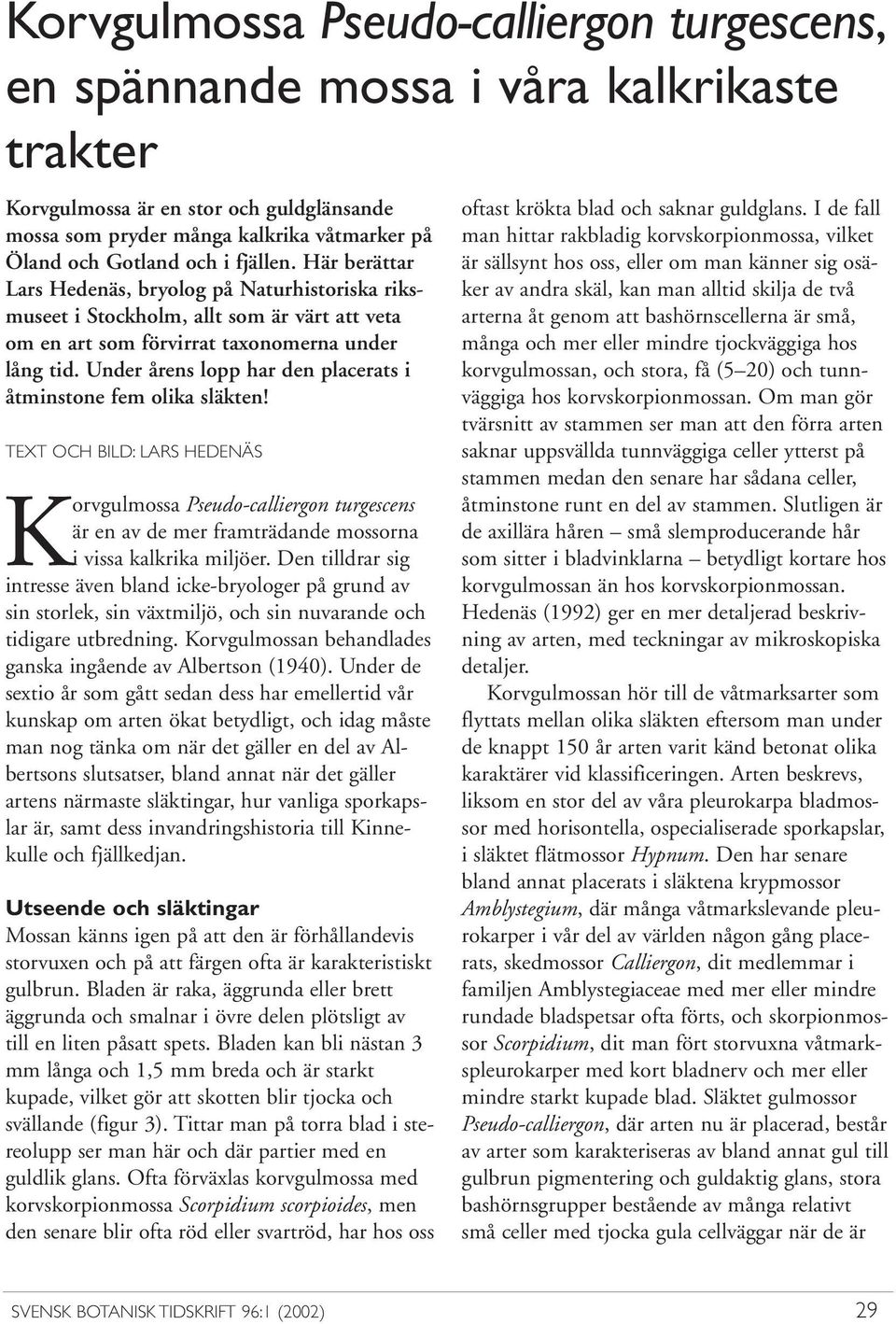 Under årens lopp har den placerats i åtminstone fem olika släkten! TEXT OCH BILD: LARS HEDENÄS Korvgulmossa Pseudo-calliergon turgescens är en av de mer framträdande mossorna i vissa kalkrika miljöer.