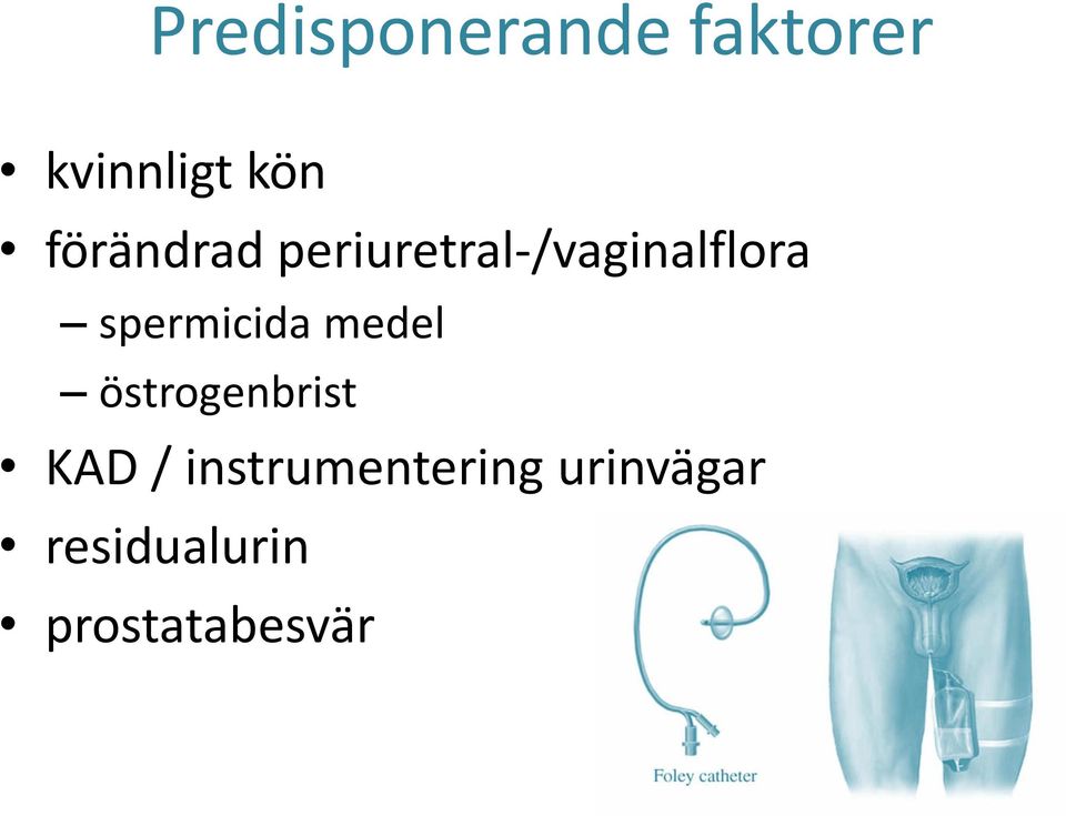 spermicida medel östrogenbrist KAD /