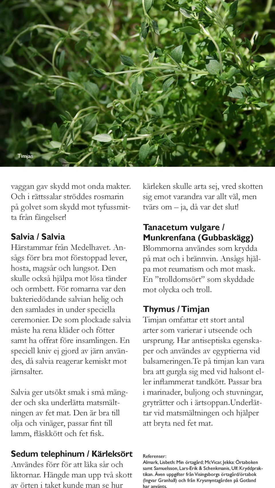 För romarna var den bakteriedödande salvian helig och den samlades in under speciella ceremonier. De som plockade salvia måste ha rena kläder och fötter samt ha offrat före insamlingen.