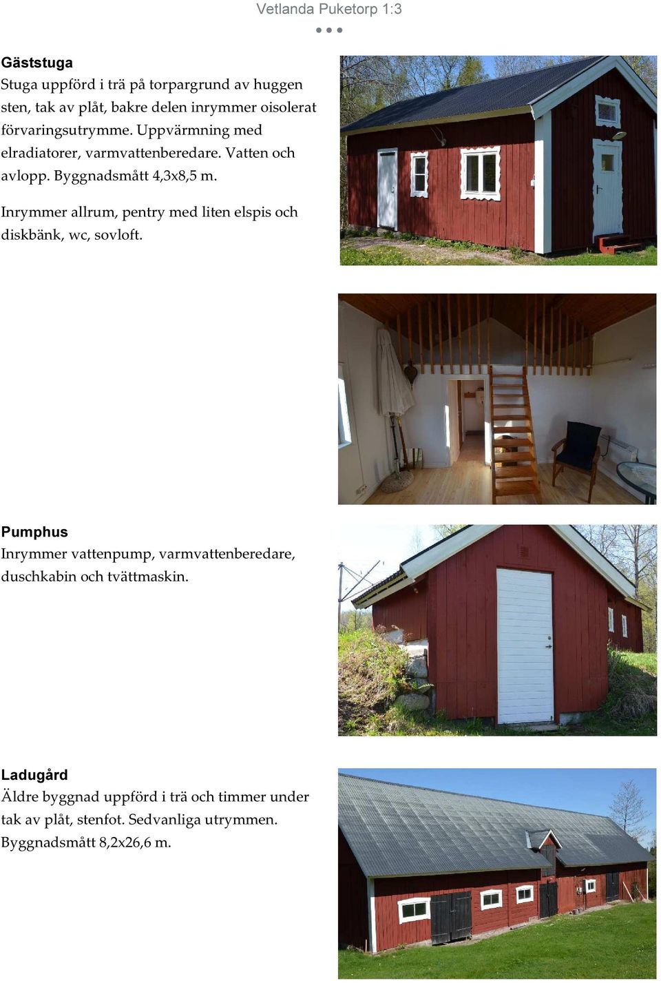 Inrymmer allrum, pentry med liten elspis och diskbänk, wc, sovloft.