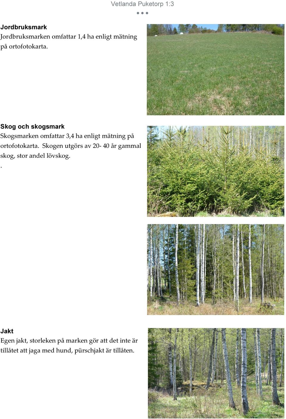 Skog och skogsmark Skogsmarken omfattar 3,4 ha enligt mätning på  Skogen utgörs av
