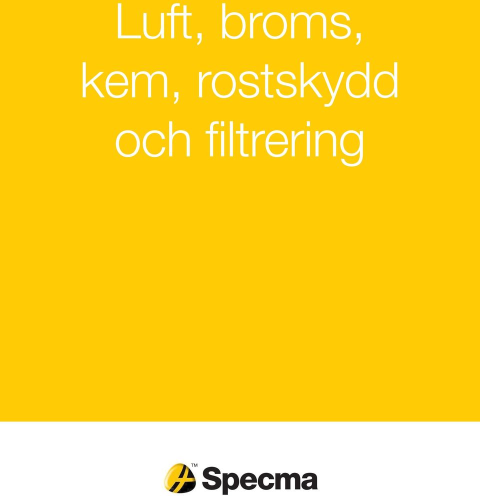 rostskydd