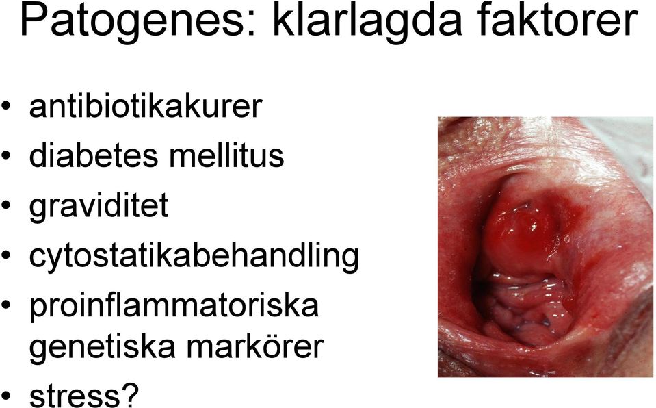 graviditet cytostatikabehandling