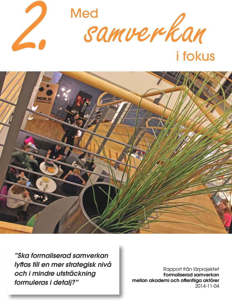 utsträckning formuleras i detalj?