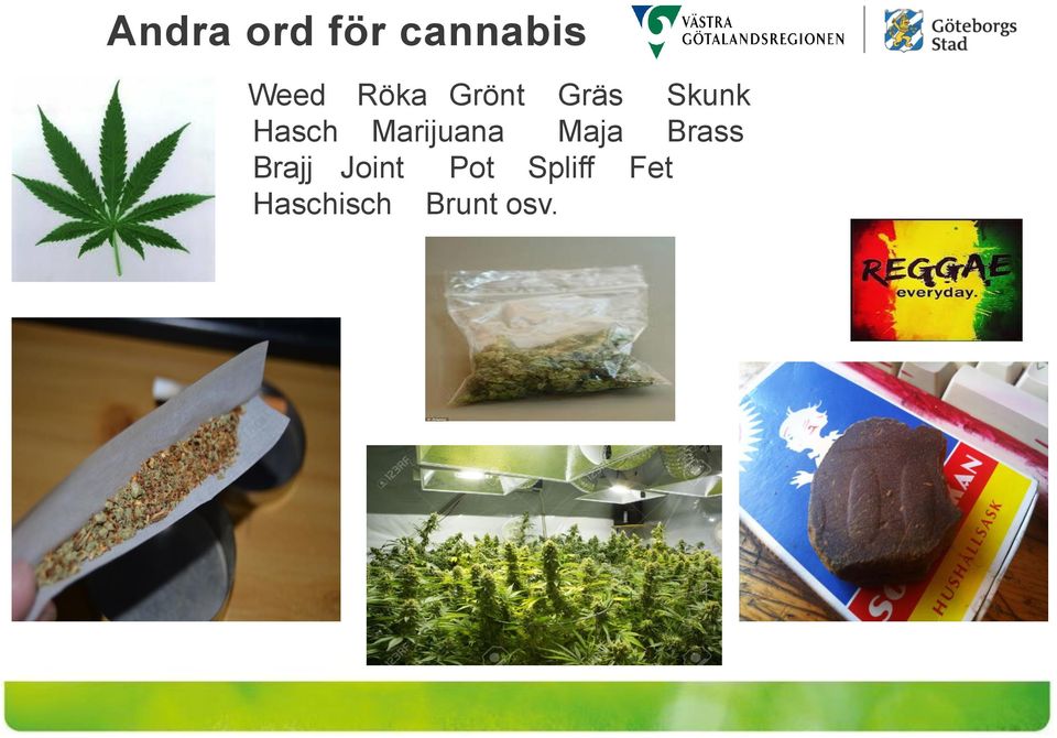 Marijuana Maja Brass Brajj