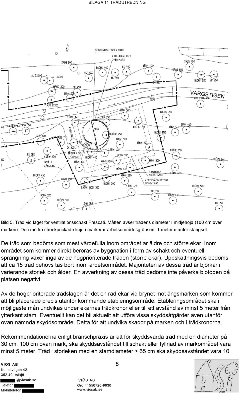 Inom området som kommer direkt beröras av byggnation i form av schakt och eventuell sprängning växer inga av de högprioriterade träden (större ekar).