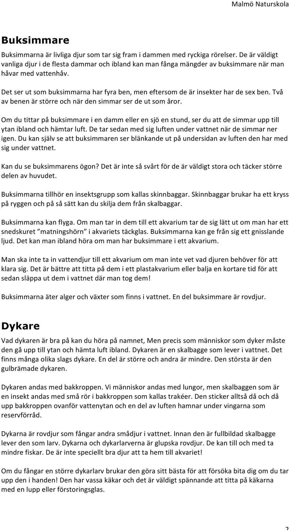 Det ser ut som buksimmarna har fyra ben, men eftersom de är insekter har de sex ben. Två av benen är större och när den simmar ser de ut som åror.