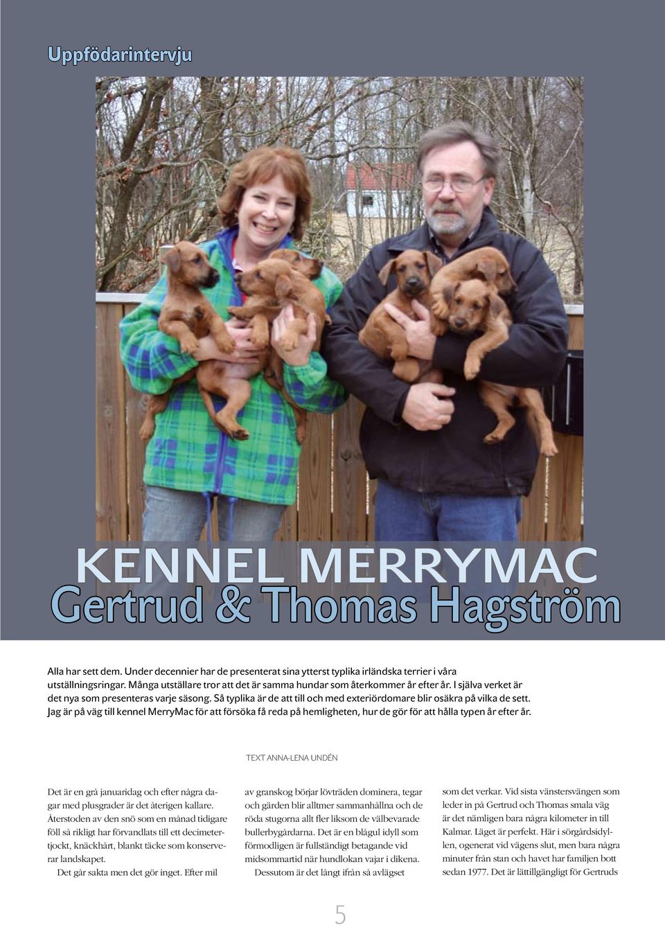 Så typlika är de att till och med exteriördomare blir osäkra på vilka de sett. Jag är på väg till kennel MerryMac för att försöka få reda på hemligheten, hur de gör för att hålla typen år efter år.