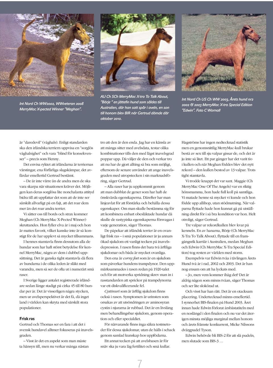 Int Nord Ch US Ch WW 2003, Årets hund nr2 2002 & 2003 MerryMac X-tra Special Edition Edwin. Foto C Wornall är daredevil (våghals).