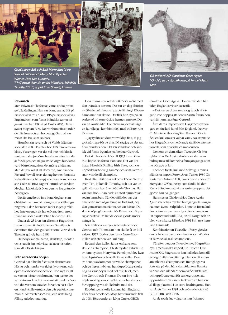 Han var bland annat BIS på rasspecialen tre år i rad, BIS på rasspecialen i England och som första irländska terrier någonsin var han BIG-2 på Crufts 2003. Då var syster Meghan BIM.