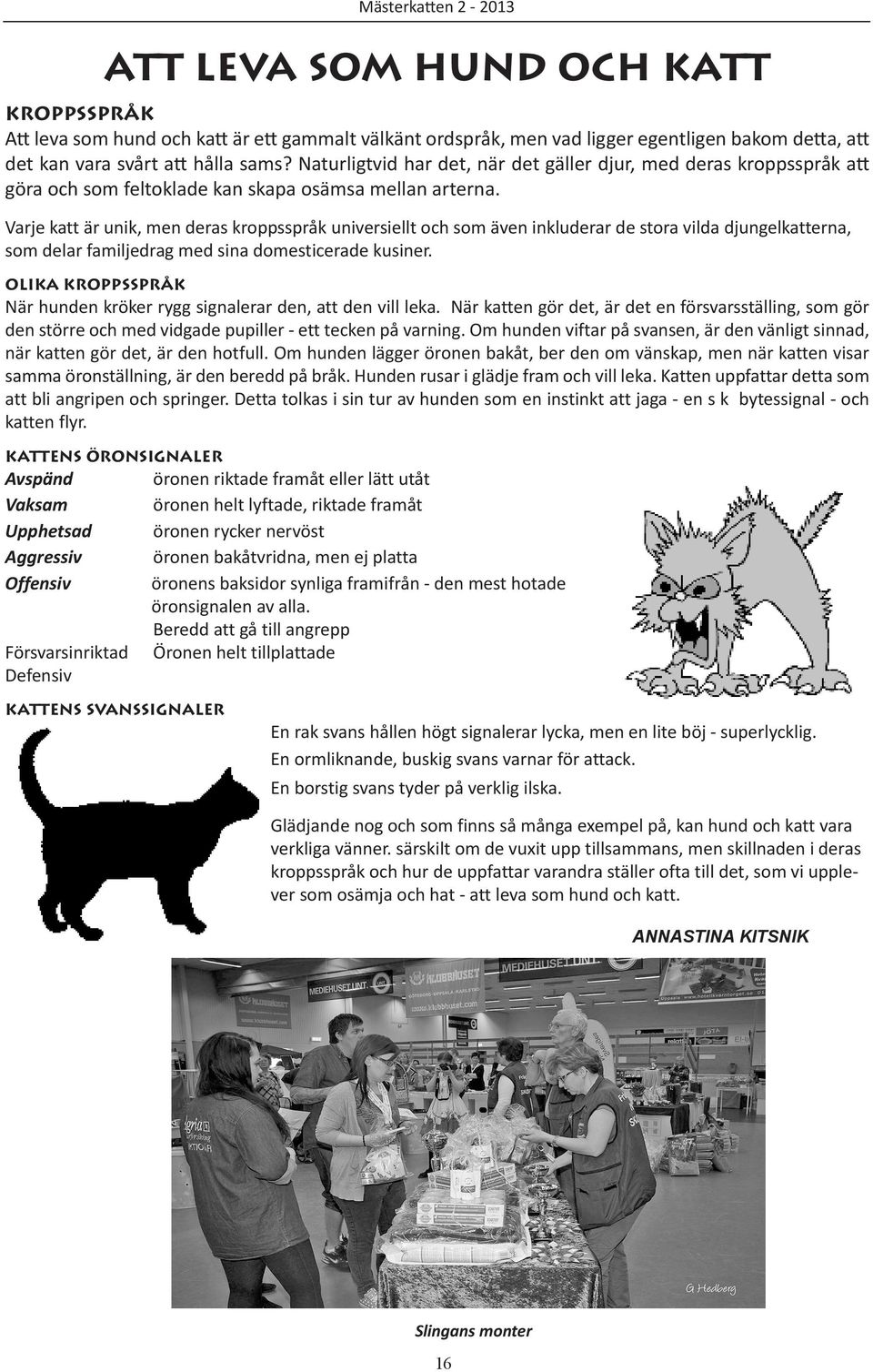 Varje katt är unik, men deras kroppsspråk universiellt och som även inkluderar de stora vilda djungelkatterna, som delar familjedrag med sina domesticerade kusiner.
